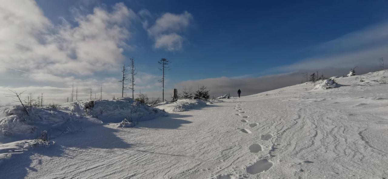 Penzion Rzehaczek Dolní Lomná Buitenkant foto
