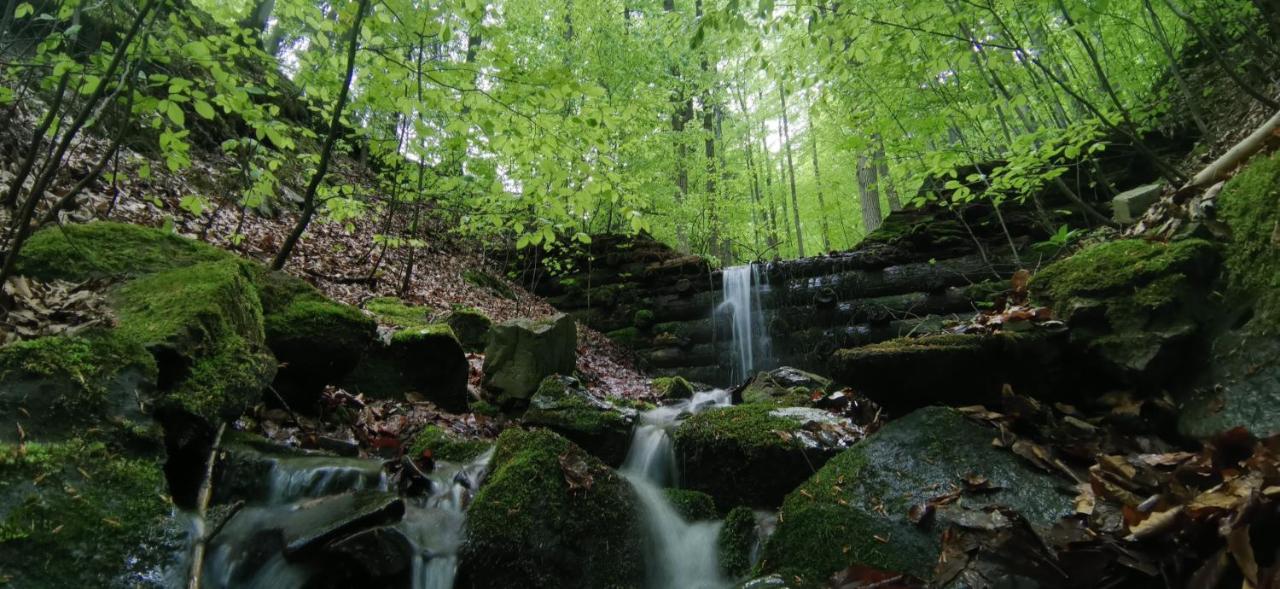 Penzion Rzehaczek Dolní Lomná Buitenkant foto