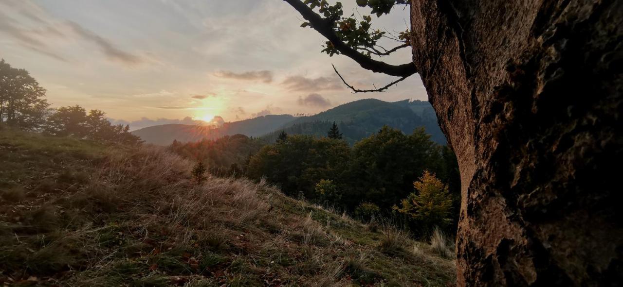 Penzion Rzehaczek Dolní Lomná Buitenkant foto