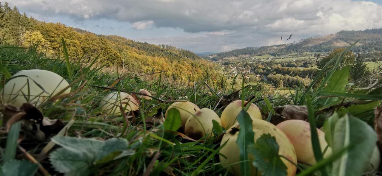 Penzion Rzehaczek Dolní Lomná Buitenkant foto