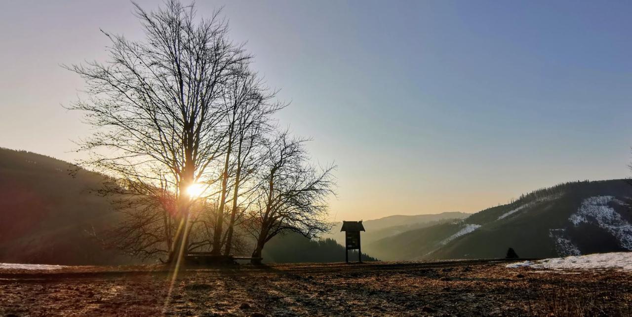 Penzion Rzehaczek Dolní Lomná Buitenkant foto