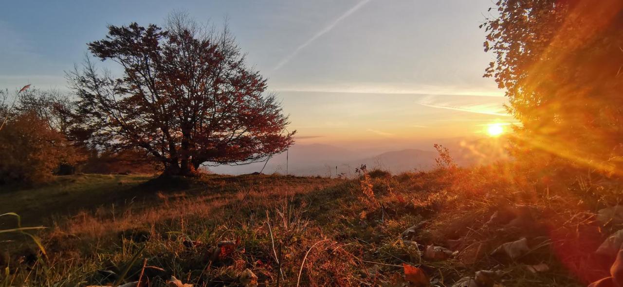 Penzion Rzehaczek Dolní Lomná Buitenkant foto