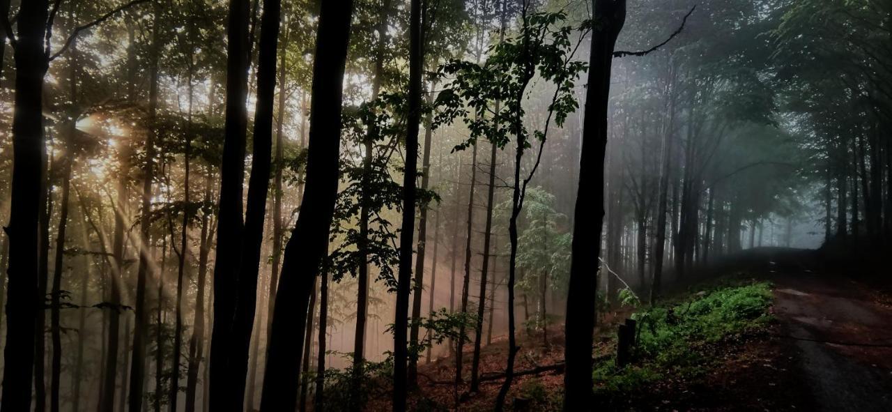 Penzion Rzehaczek Dolní Lomná Buitenkant foto