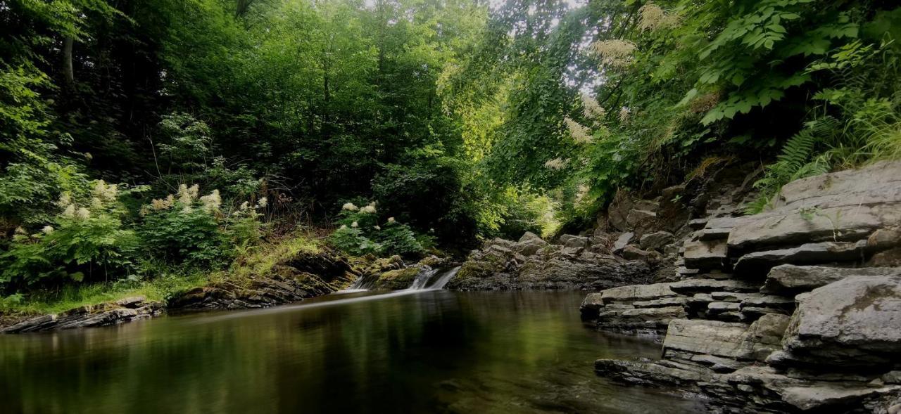 Penzion Rzehaczek Dolní Lomná Buitenkant foto