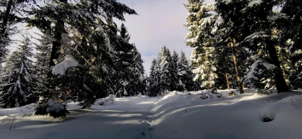 Penzion Rzehaczek Dolní Lomná Buitenkant foto