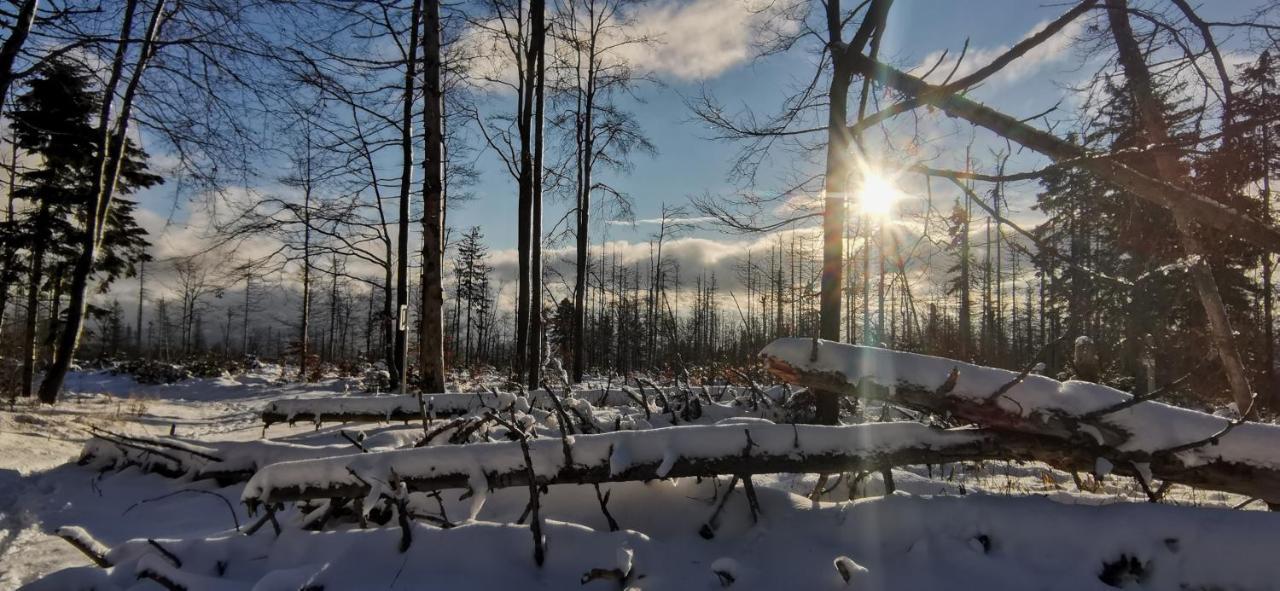 Penzion Rzehaczek Dolní Lomná Buitenkant foto