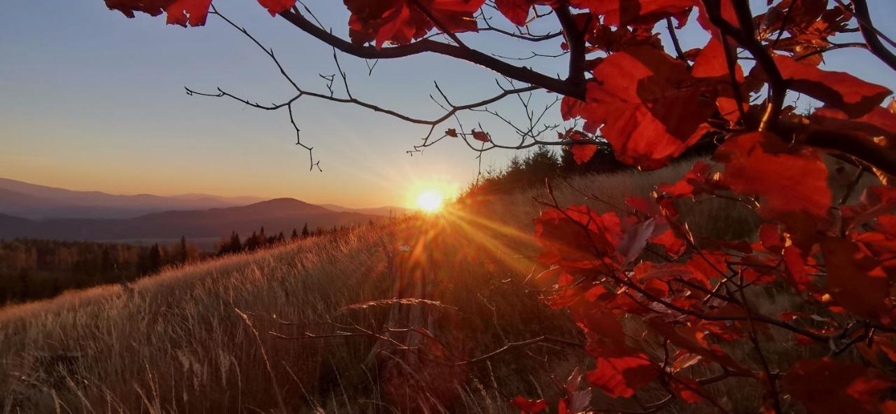 Penzion Rzehaczek Dolní Lomná Buitenkant foto