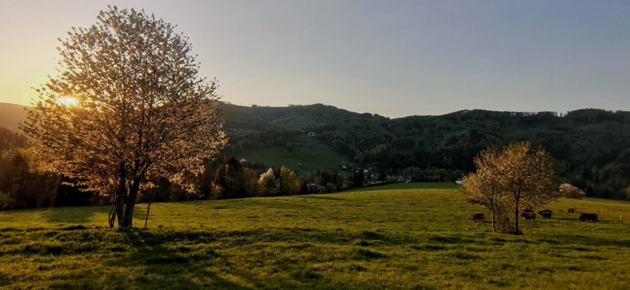Penzion Rzehaczek Dolní Lomná Buitenkant foto