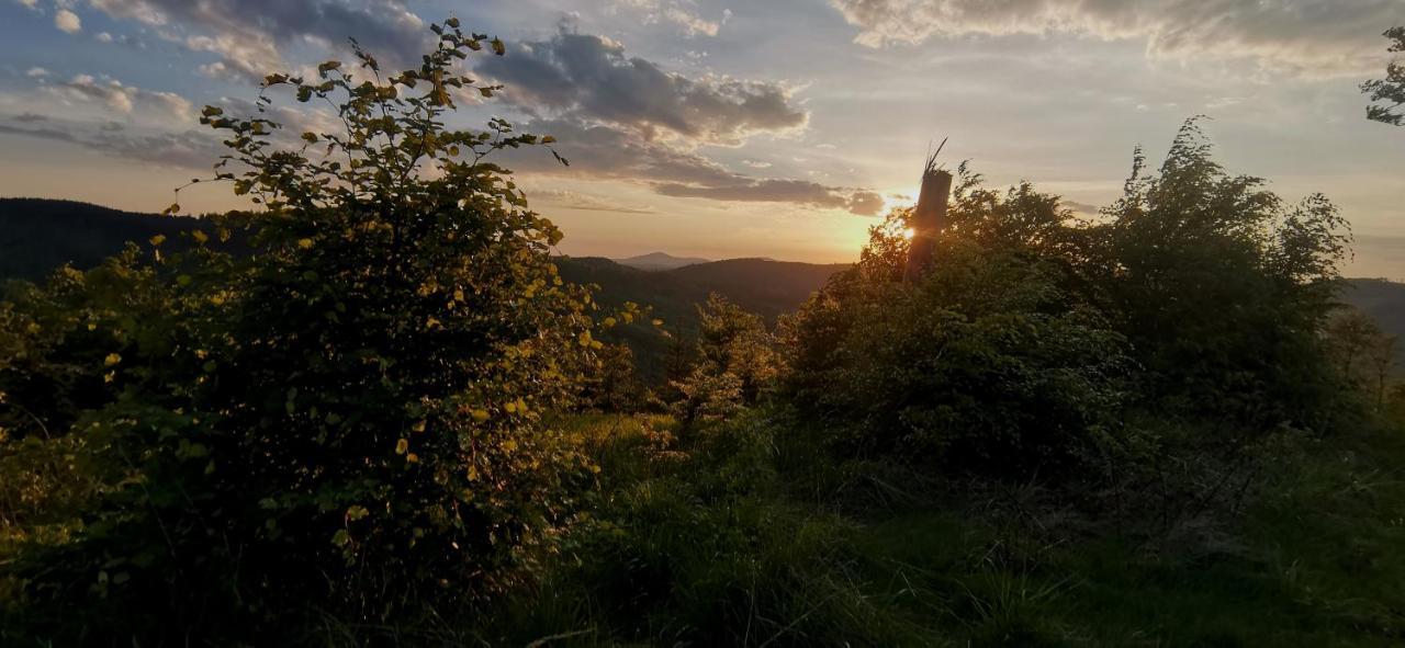 Penzion Rzehaczek Dolní Lomná Buitenkant foto