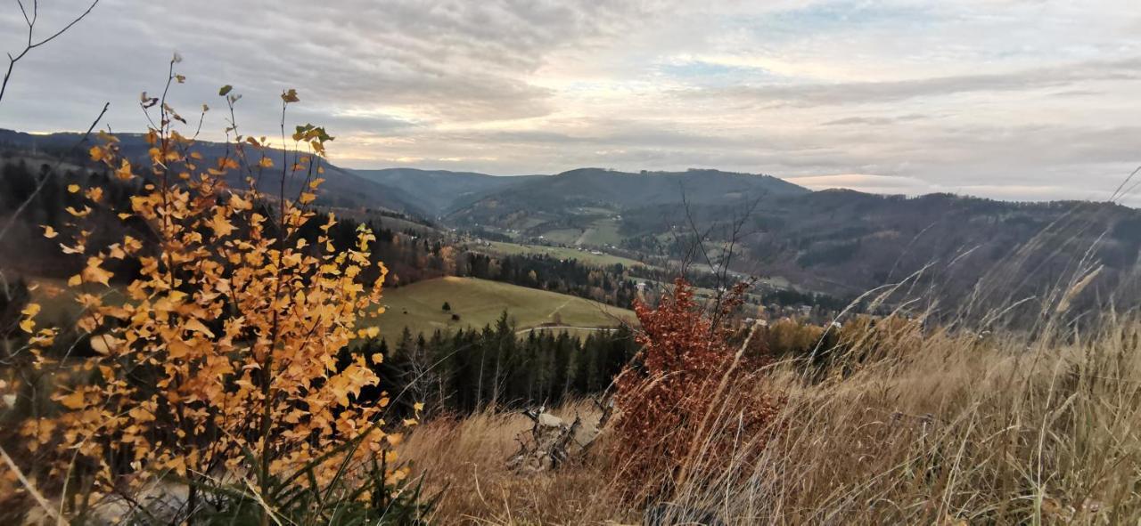 Penzion Rzehaczek Dolní Lomná Buitenkant foto