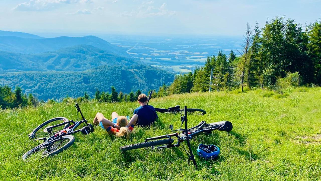 Penzion Rzehaczek Dolní Lomná Buitenkant foto