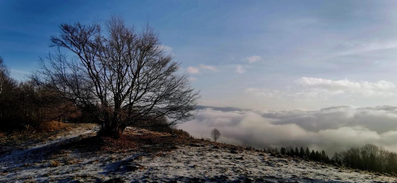 Penzion Rzehaczek Dolní Lomná Buitenkant foto