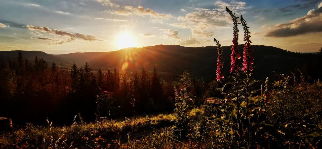 Penzion Rzehaczek Dolní Lomná Buitenkant foto