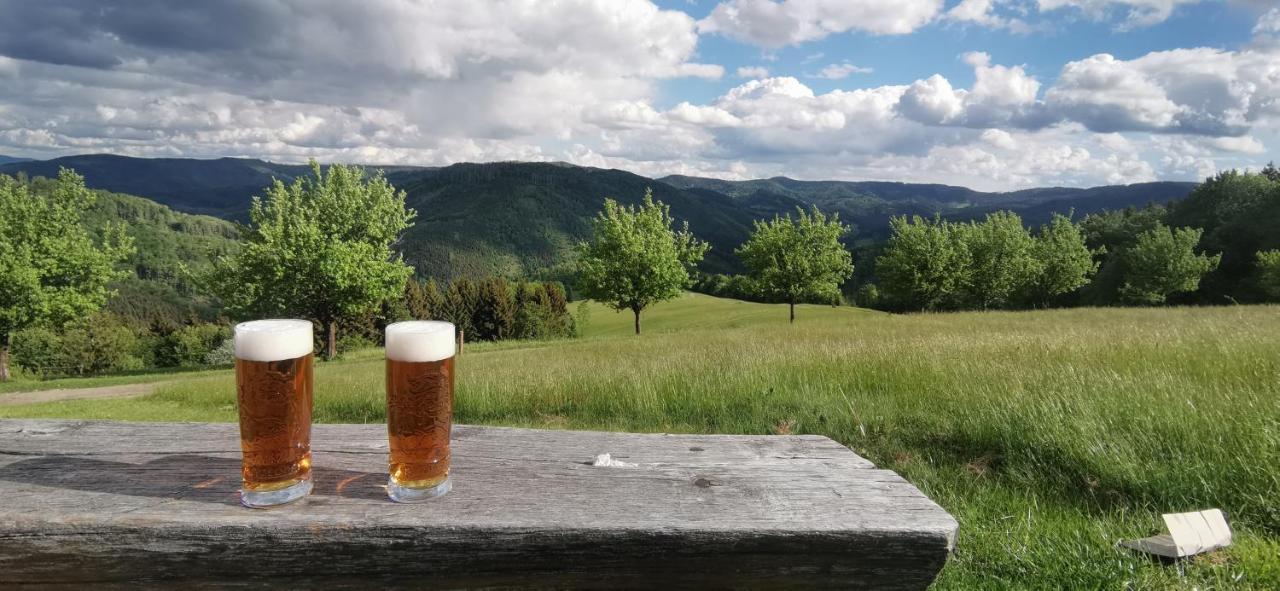 Penzion Rzehaczek Dolní Lomná Buitenkant foto