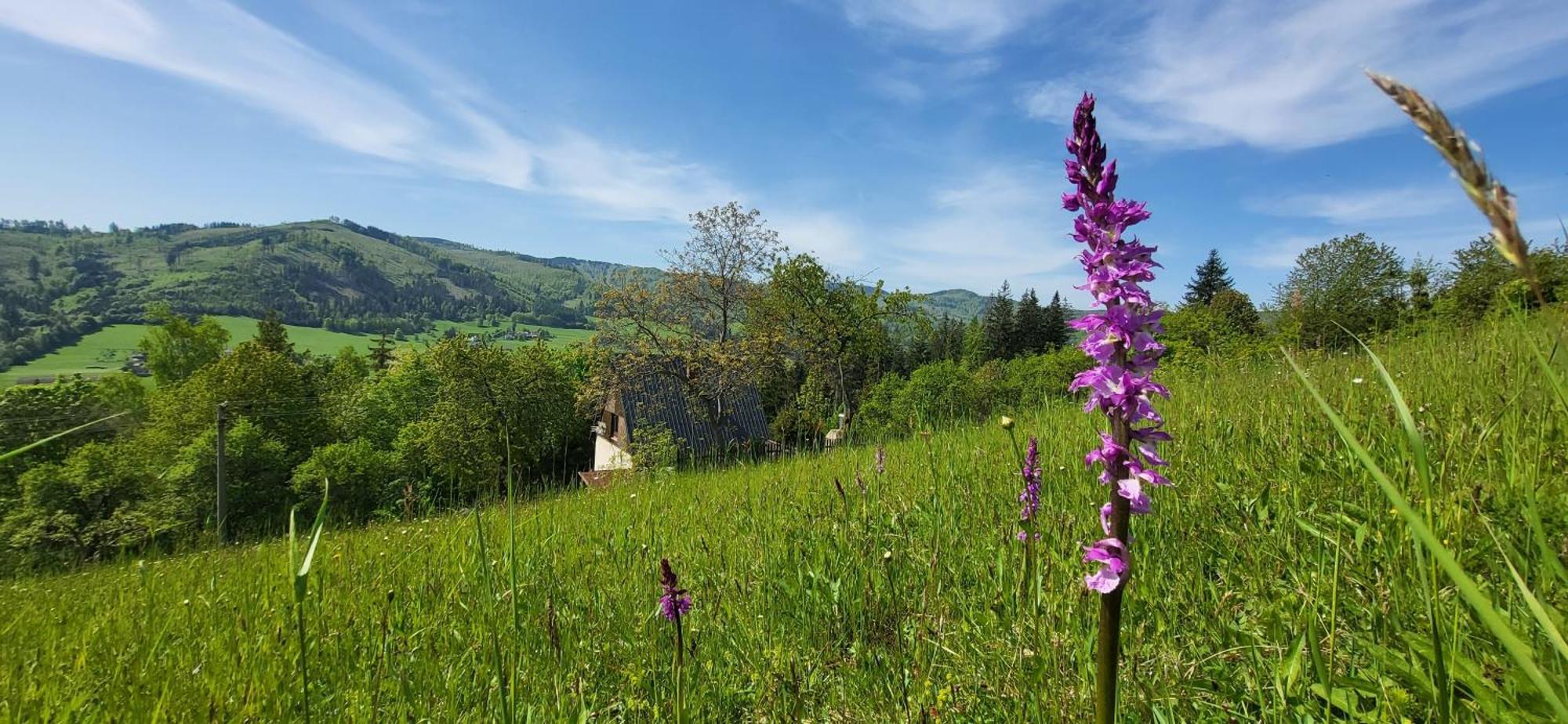 Penzion Rzehaczek Dolní Lomná Buitenkant foto